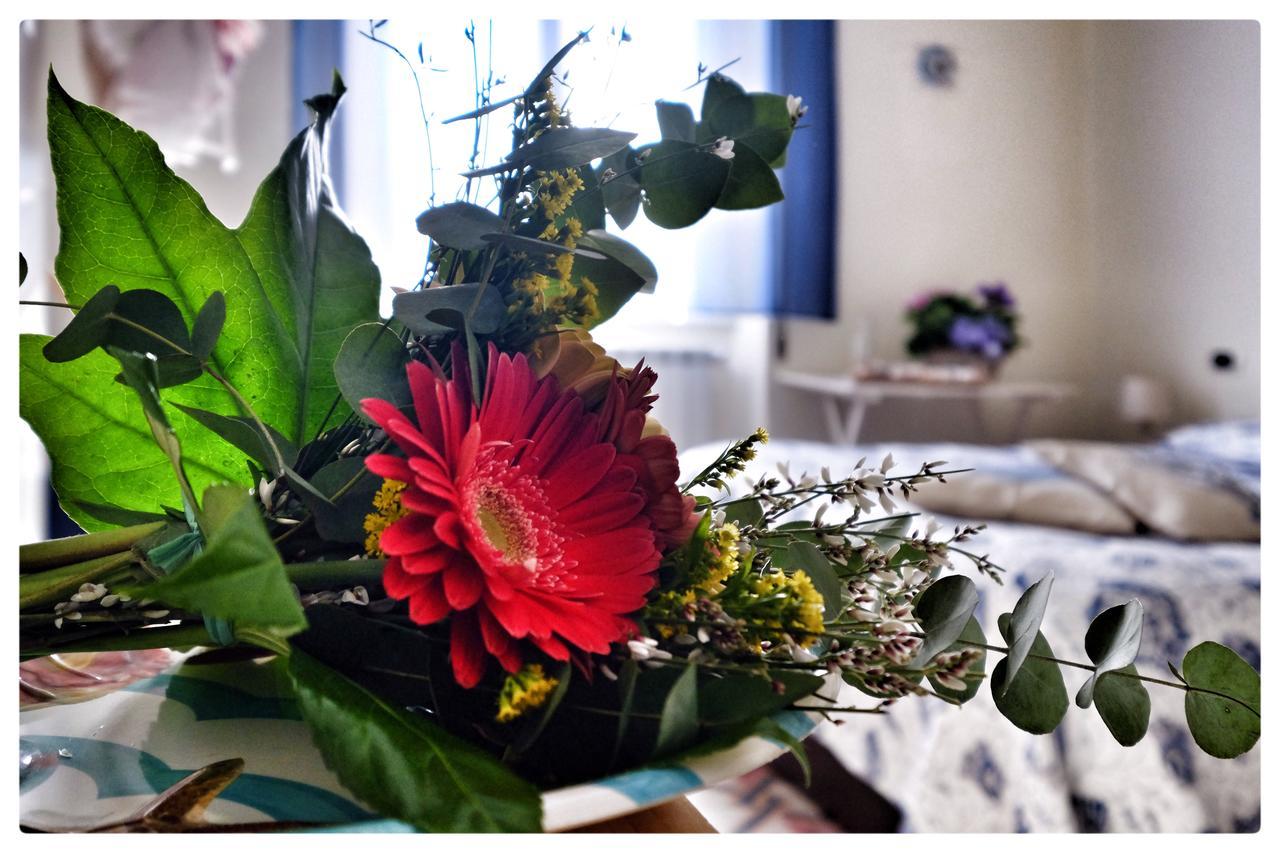 Bed and Breakfast La Casa Sul Molo Viareggio Zewnętrze zdjęcie